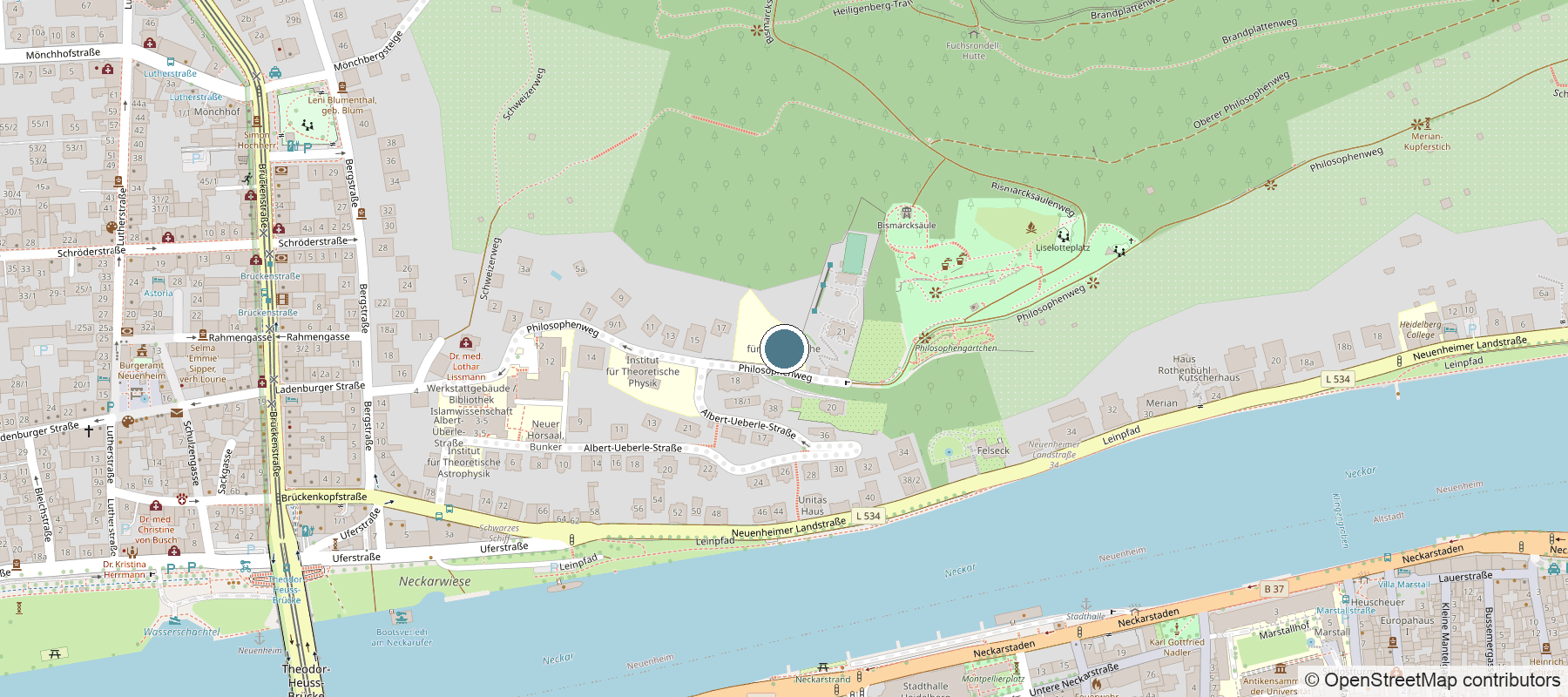 Street map centred on Philosophenweg 19 in Heidelberg, with the institute marked, the Neckar to the south and the Altstadt across the river